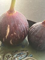 IMG_1844.jpeg