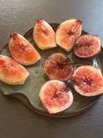 IMG_1845.jpeg