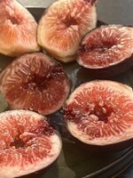 IMG_1846.jpeg