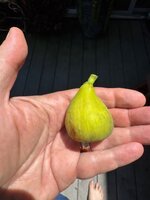 IMG_9669.jpeg