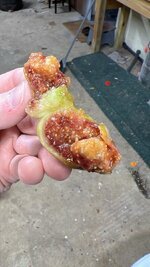 IMG_5046.jpeg