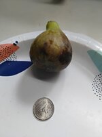 20250812_103738.jpg