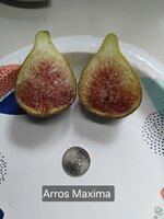 20250812_103812.jpg