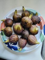 20250812_173418.jpg