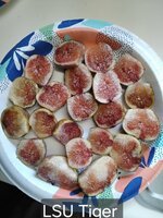 20250812_173833.jpg