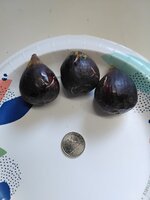 20250812_173037.jpg