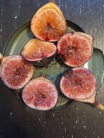 IMG_1959.jpeg