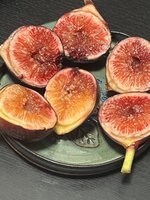IMG_1960.jpeg