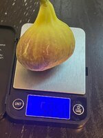 IMG_1945.jpeg