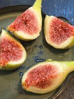 IMG_1948.jpeg
