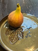 IMG_1950.jpeg
