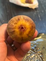 IMG_1951.jpeg
