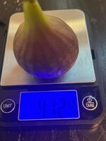 IMG_1952.jpeg