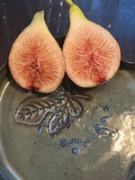 IMG_1953.jpeg