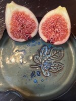 IMG_1978.jpeg