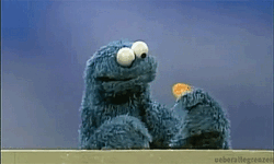 IMG_3705.gif