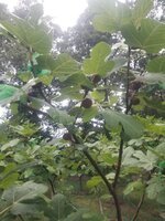 20250814_192347.jpg
