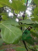 20250814_192406.jpg