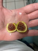 IMG_4470.jpeg