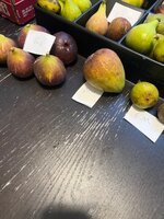 IMG_2057.jpeg