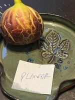 IMG_2064.jpeg