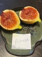 IMG_2066.jpeg
