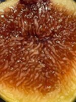 IMG_2067.jpeg