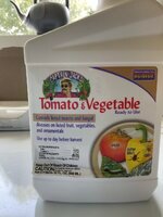 IMG_2619.jpeg