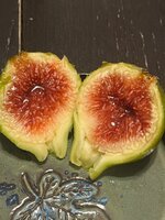 IMG_2189.jpeg