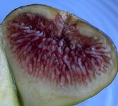 IMG_3345.jpeg