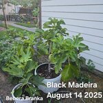 20250814_195502.jpg