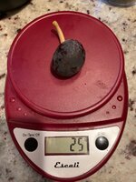 IMG_1780.jpeg