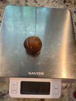IMG_1975.jpeg