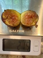 IMG_1974.jpeg