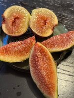 IMG_2323.jpeg