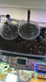 IMG_3183.jpeg