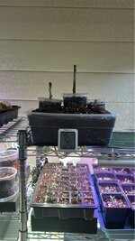 IMG_3184.jpeg
