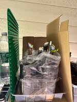 IMG_3287.jpeg