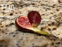 IMG_0839.jpeg