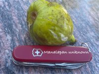 IMG_4826.jpeg