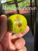IMG_1063.jpeg