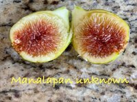IMG_3589.jpeg