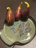 IMG_2349.jpeg