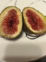 IMG_2339.jpeg