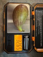 IMG_8593.jpeg