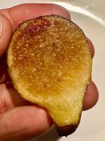 IMG_8607.jpeg