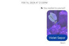 IMG_2225.jpeg