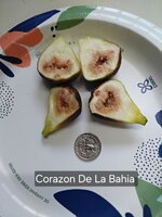20250828_104306.jpg