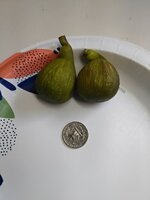 20250828_102126.jpg