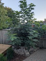 PXL_20250829_233251729.jpg